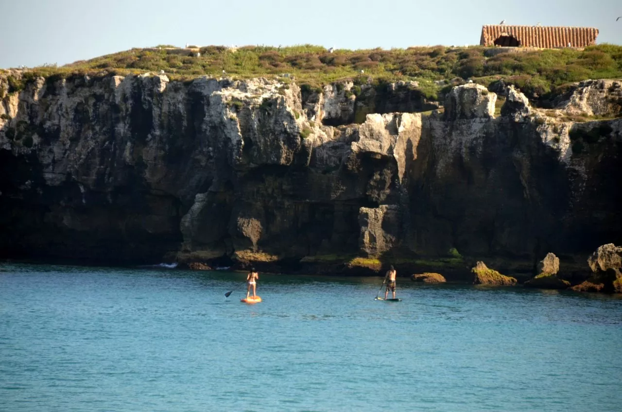 courses sup tarifa