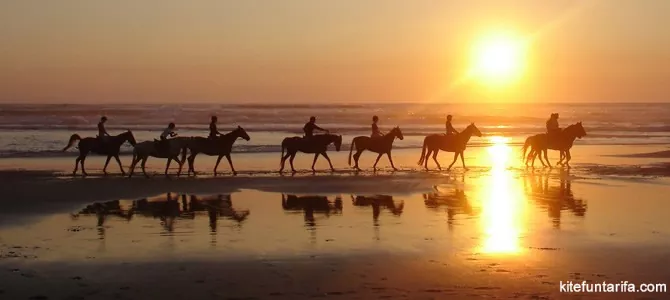 horse riding tarifa