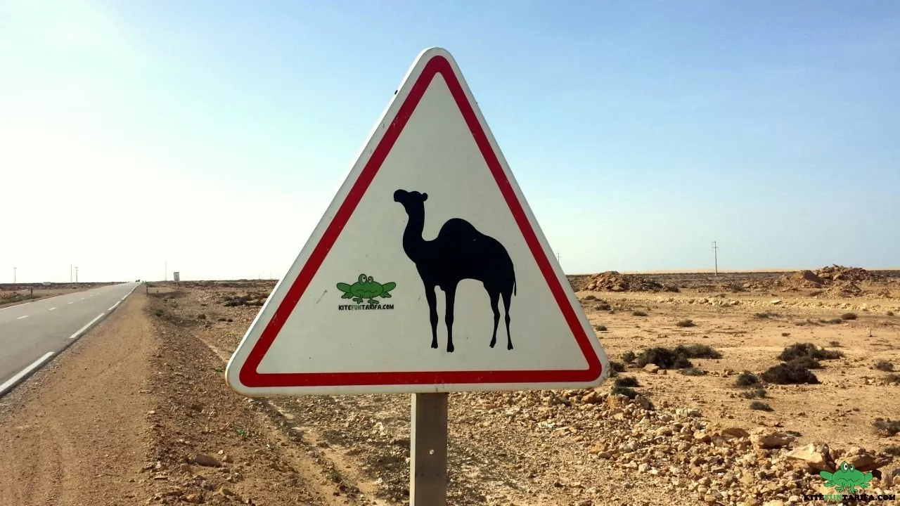 on the way to Dakhla