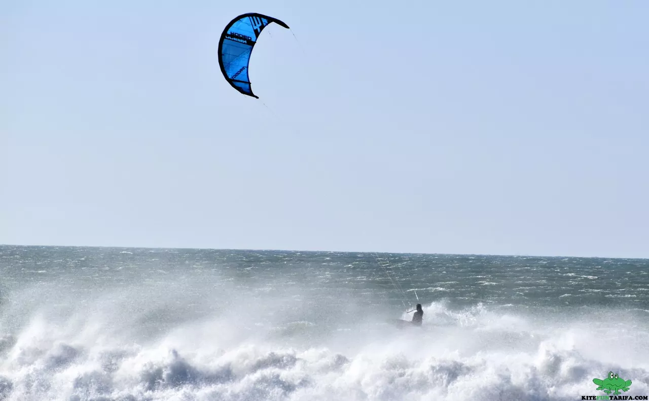 test ocean rodeo prodigy 2020