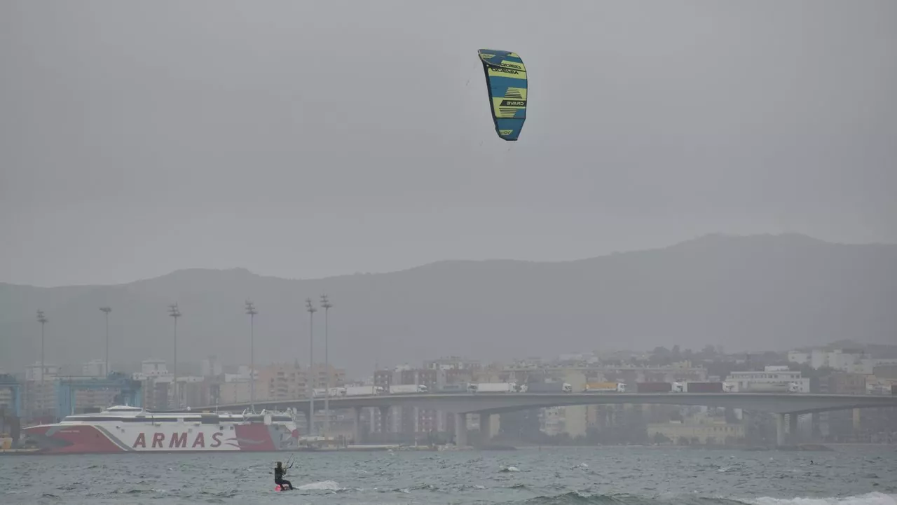 ocean rodeo crave 2021
