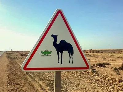 dakhla roadtrip